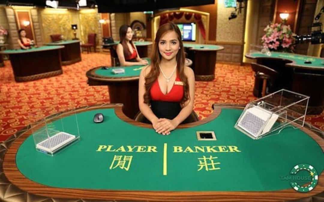 Yêu cầu để trở thành một dealer casino